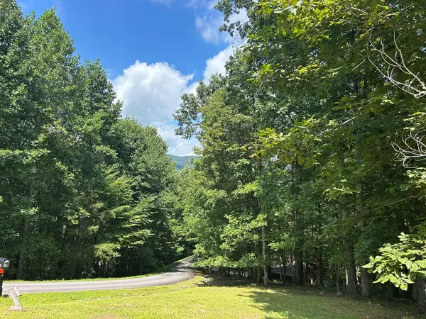 Blairsville, GA 30512,Lt 19 Bitter Creek Road