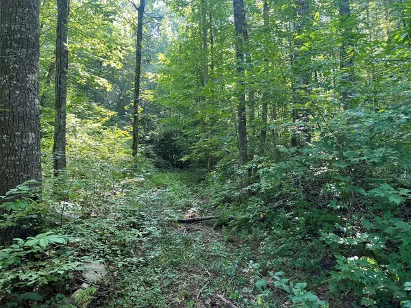 Murphy, NC 28906,0 Rj Mountain View Drive