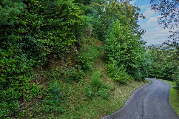 Mineral Bluff, GA 30559,0 Dusty Danno Trail