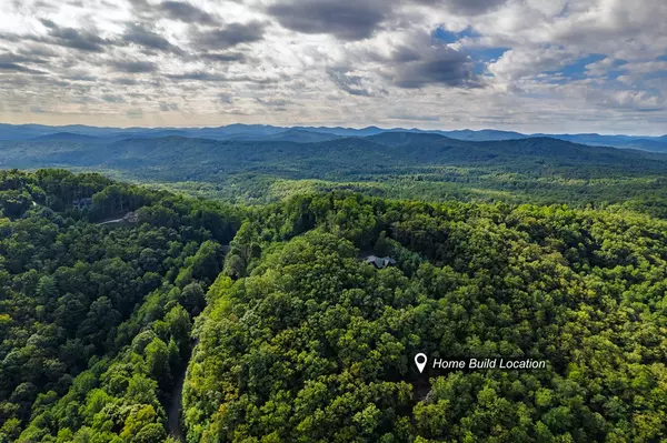 Mineral Bluff, GA 30559,0 Dusty Danno Trail