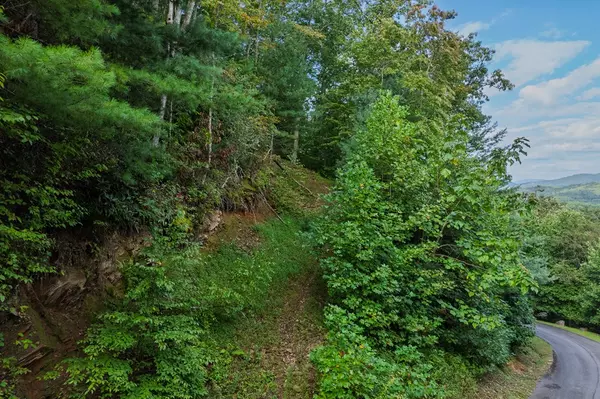 Mineral Bluff, GA 30559,0 Dusty Danno Trail