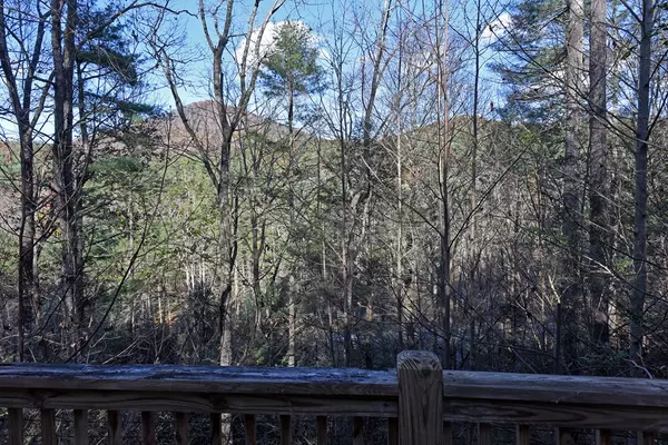 Suches, GA 30572,24444 Morganton Hwy