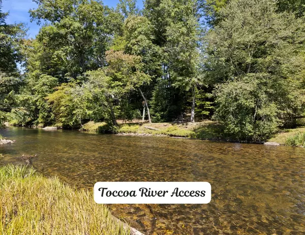 Suches, GA 30572,487 White Pine Trail