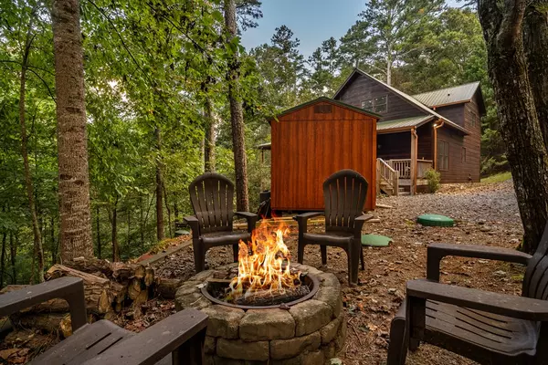 Ellijay, GA 30540,480 Palmetto Drive