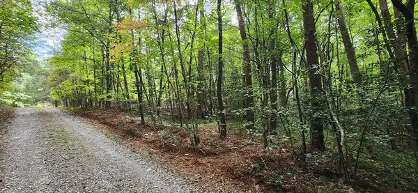 Mineral Bluff, GA 30559,lt 42-43 Old Mill Pond Road