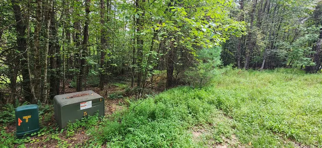 Lot 45 Old Mill Pond Road, Mineral Bluff, GA 30559