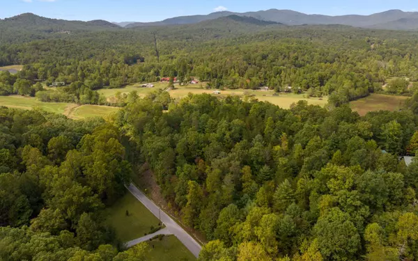 Mineral Bluff, GA 30559,1.34 AC Laurel Springs Road