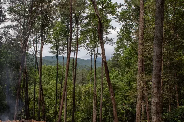 Blue Ridge, GA 30513,Lot 2 Big Creek