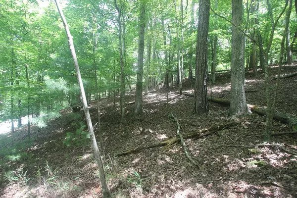 Ellijay, GA 30540,Lt 2628 Garnet Drive