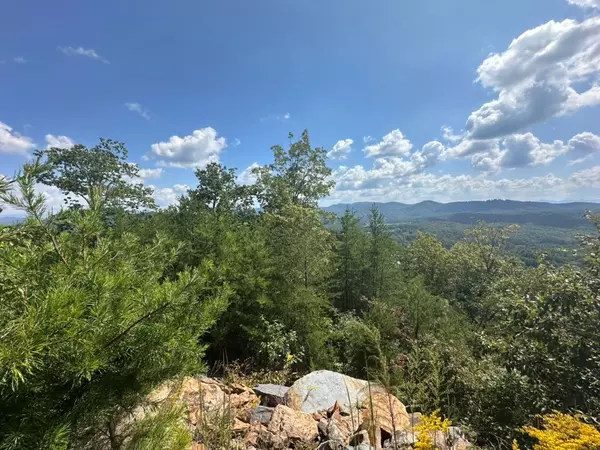 Murphy, NC 28906,Lot 8/8a Bergan Moore Road