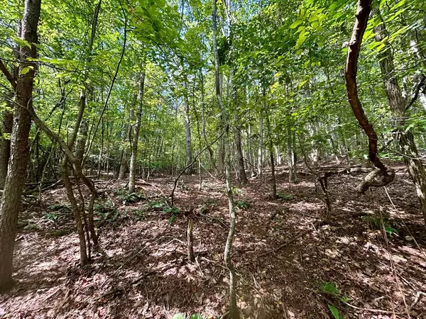 0 Yonah View Drive, Cleveland, GA 30528