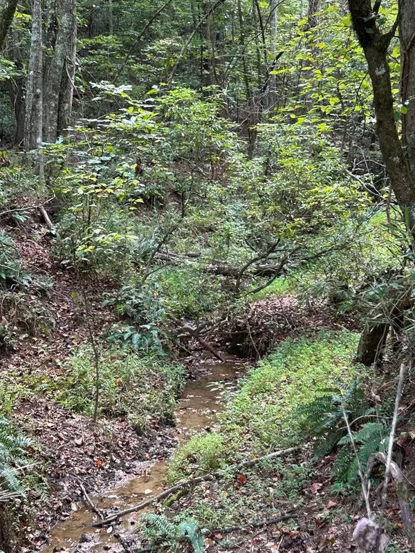 Cleveland, GA 30528,0 Yonah View Drive