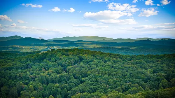 Blue Ridge, GA 30513,401 Sunrock Mountain Trc