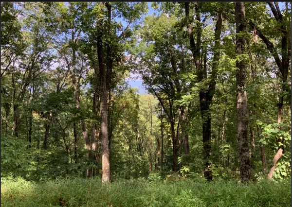 Ellijay, GA 30536,LT M177 Walnut Ridge