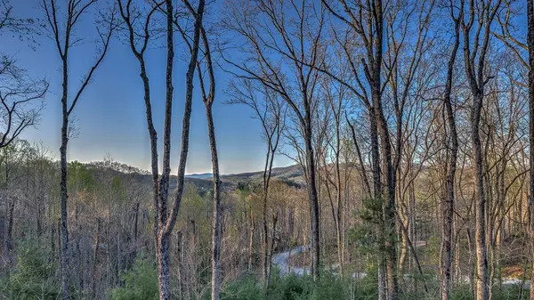 Cherry Log, GA 30522,356 Mountain Trace