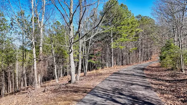 Blairsville, GA 30512,Lot 29 Loftis Mountain
