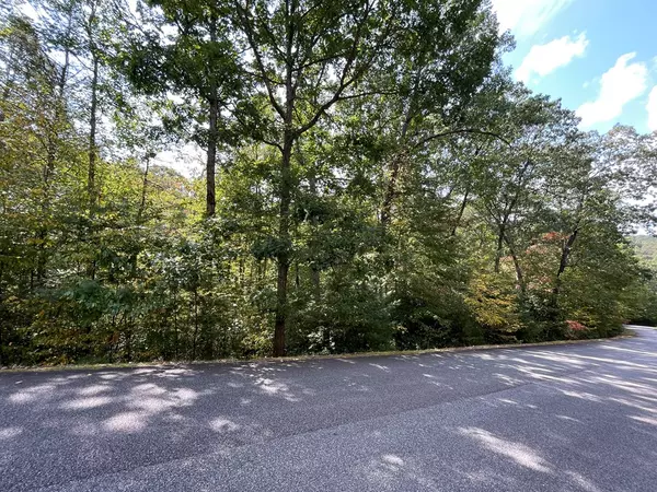Brasstown, NC 28902,#104 Heritage Trail
