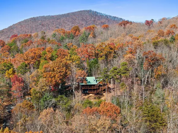 Cherry Log, GA 30522,848 Maggie Chapman Road