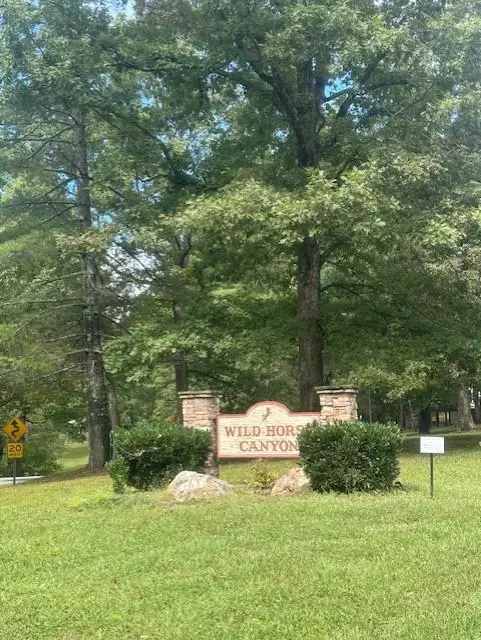 0 Brumby Run, Blairsville, GA 30512