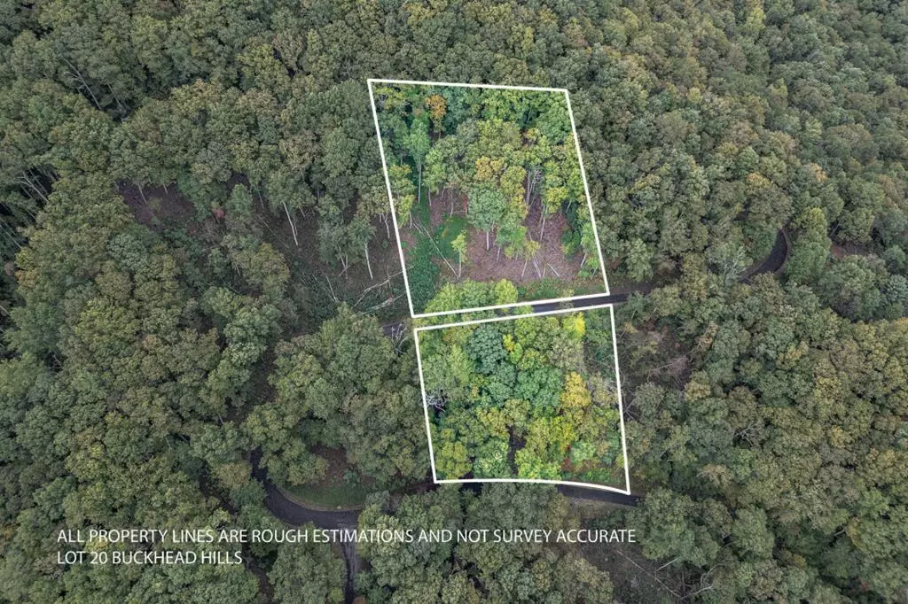 Hiawassee, GA 30546,Lot 20 Buckhead Hills