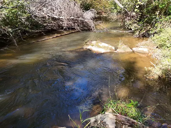 Mineral Bluff, GA 30559,Lt 27/28 Donna Lee Lane
