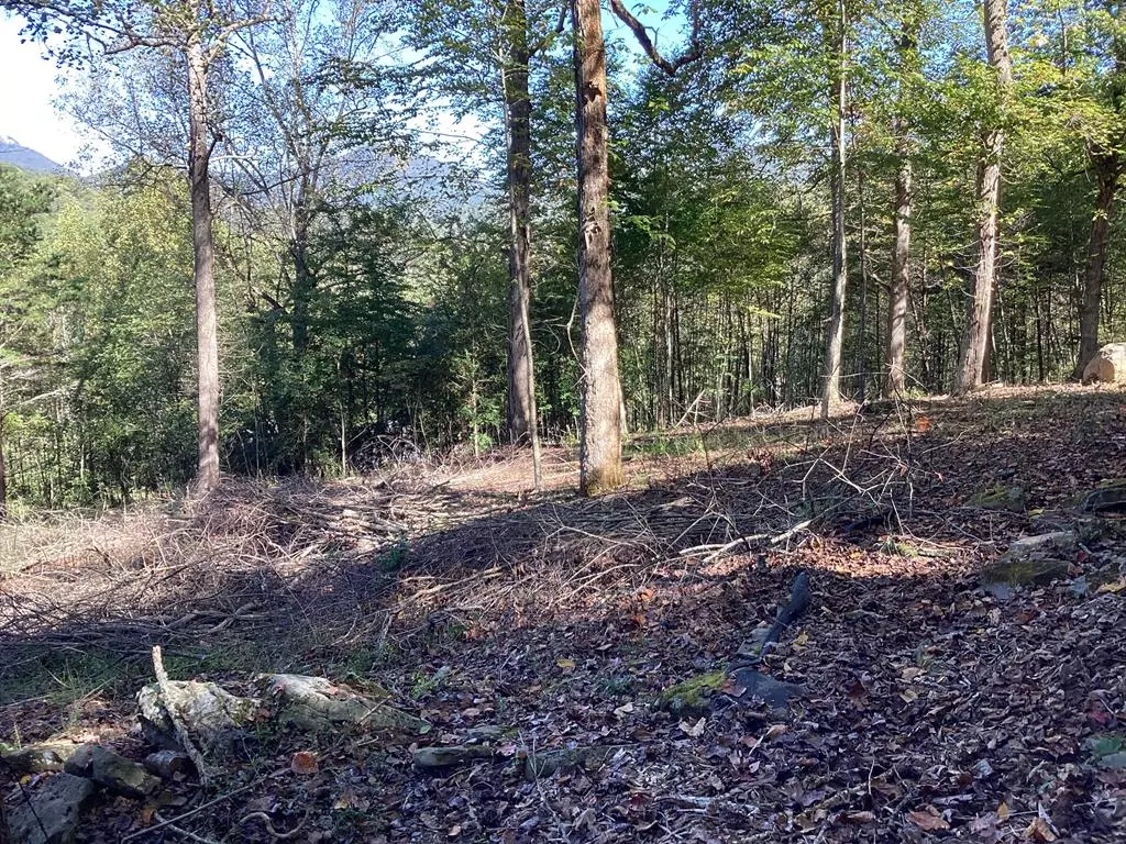 Hiawassee, GA 30546,Lot 2 Buckhead Hills