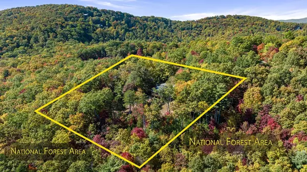 Blue Ridge, GA 30513,1655 Mangums Trail