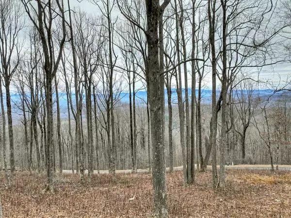 Ellijay, GA 30536,LT 296 Andes Ridge