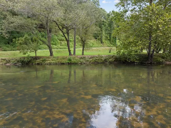 Ellijay, GA 30540,96 Holiday Court