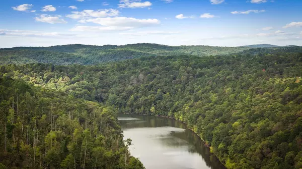 Ellijay, GA 30540,250 Noah Circle