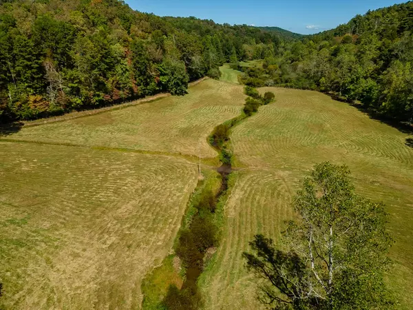 Mineral Bluff, GA 30559,122 Black Rock Ridge