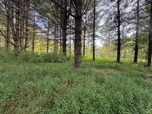 Suches, GA 30572,Lot 6 Double Creek Drive