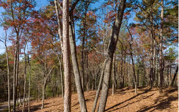 Ellijay, GA 30536,Lot 41 Preserve Trail