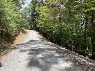 Ellijay, GA 30540,Lot 21 Vista Chalet Drive