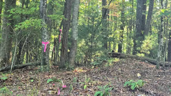 Blairsville, GA 30512,10 Acres Mt Pleasant Church