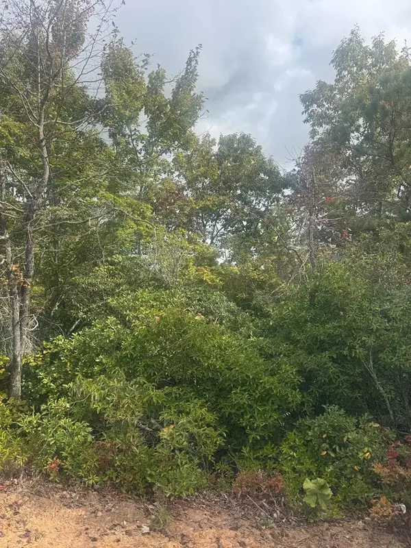 Clayton, GA 30525,Lot 16 Brown Hawk