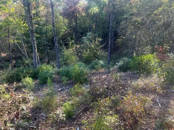 Mineral Bluff, GA 30559,Lot 44 Ridgeline Lane