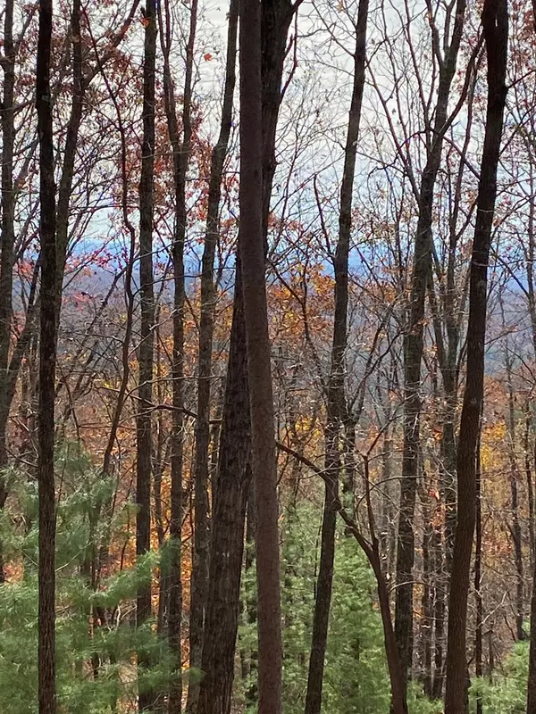 Ellijay, GA 30540,L334 335 Brushy Top Drive