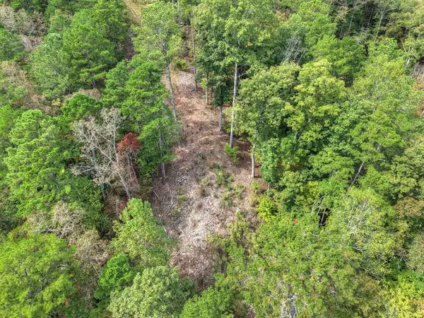 Ellijay, GA 30540,LT 269 River View Trail