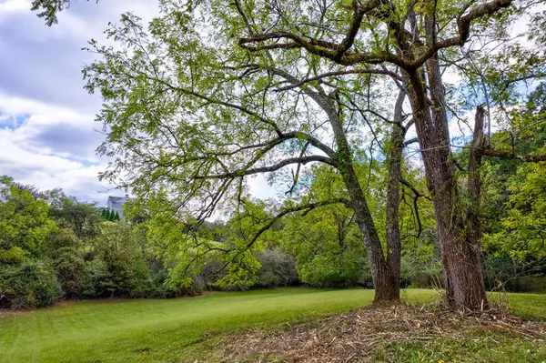 6.89Ac Fox Fields, Blairsville, GA 30512