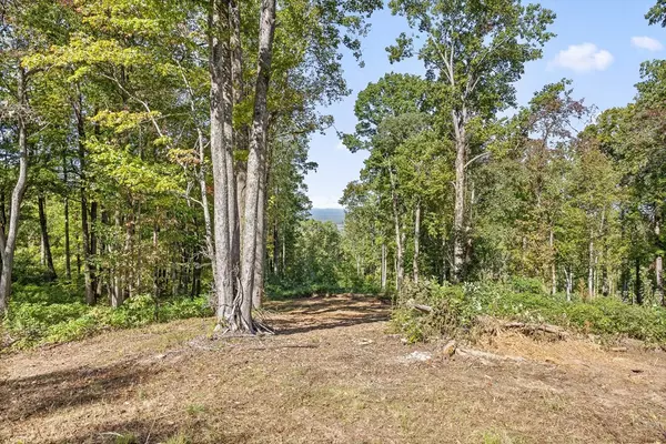 Talking Rock, GA 30175,Lot 38 High Summit Drive