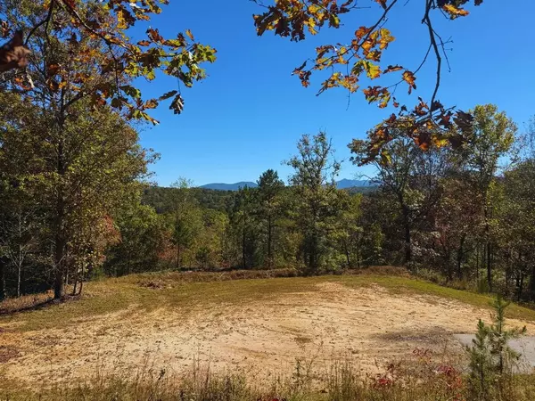 Warne, NC 28909,Lot 1 Brasstown Trails