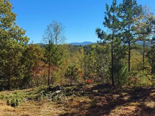 Warne, NC 28909,Lot 1 Brasstown Trails