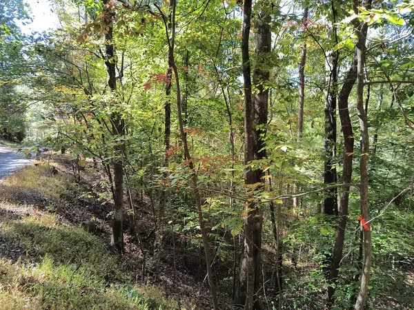Ellijay, GA 30540,Lot 334 Cold Stream Court