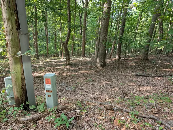 Young Harris, GA 30582,LOT 30 Rocky Knob Drive
