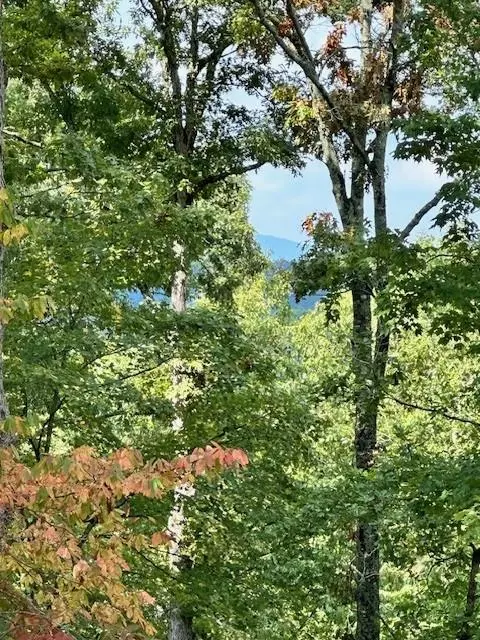 Lot 215 Old Toccoa Loop, Mineral Bluff, GA 30559
