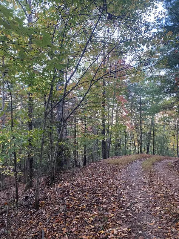 NA Nelson Circle, Blairsville, GA 30512