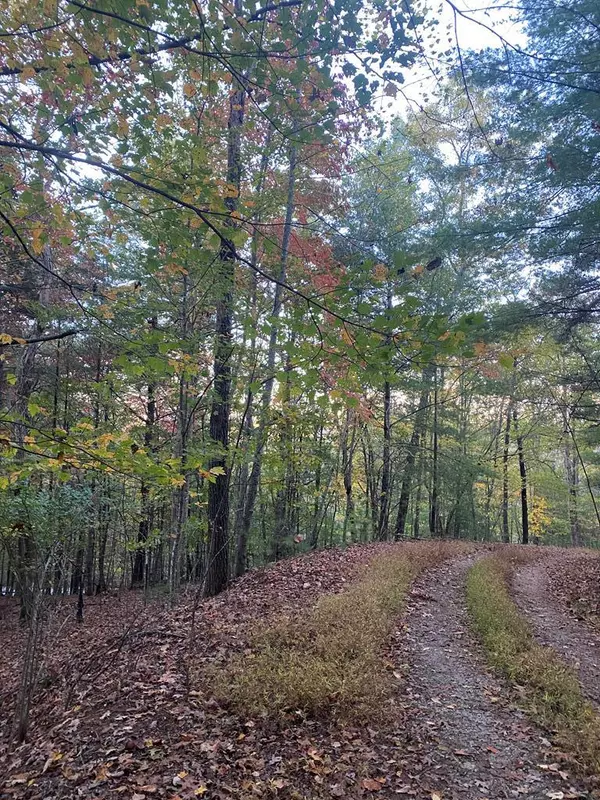 Blairsville, GA 30512,NA Nelson Circle