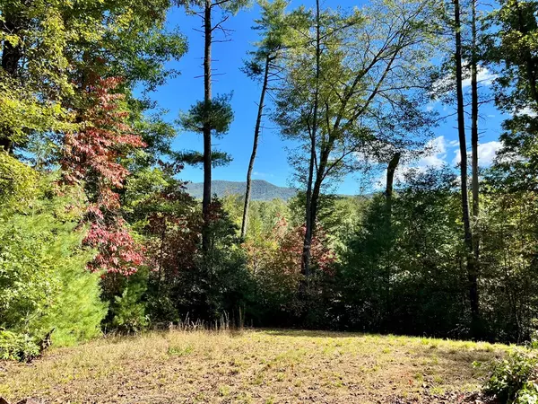 Ellijay, GA 30540,12.64 AC Harrison Sluder Road