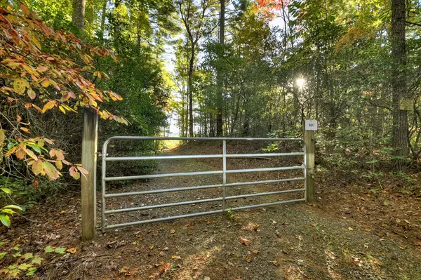 Ellijay, GA 30540,12.64 AC Harrison Sluder Road